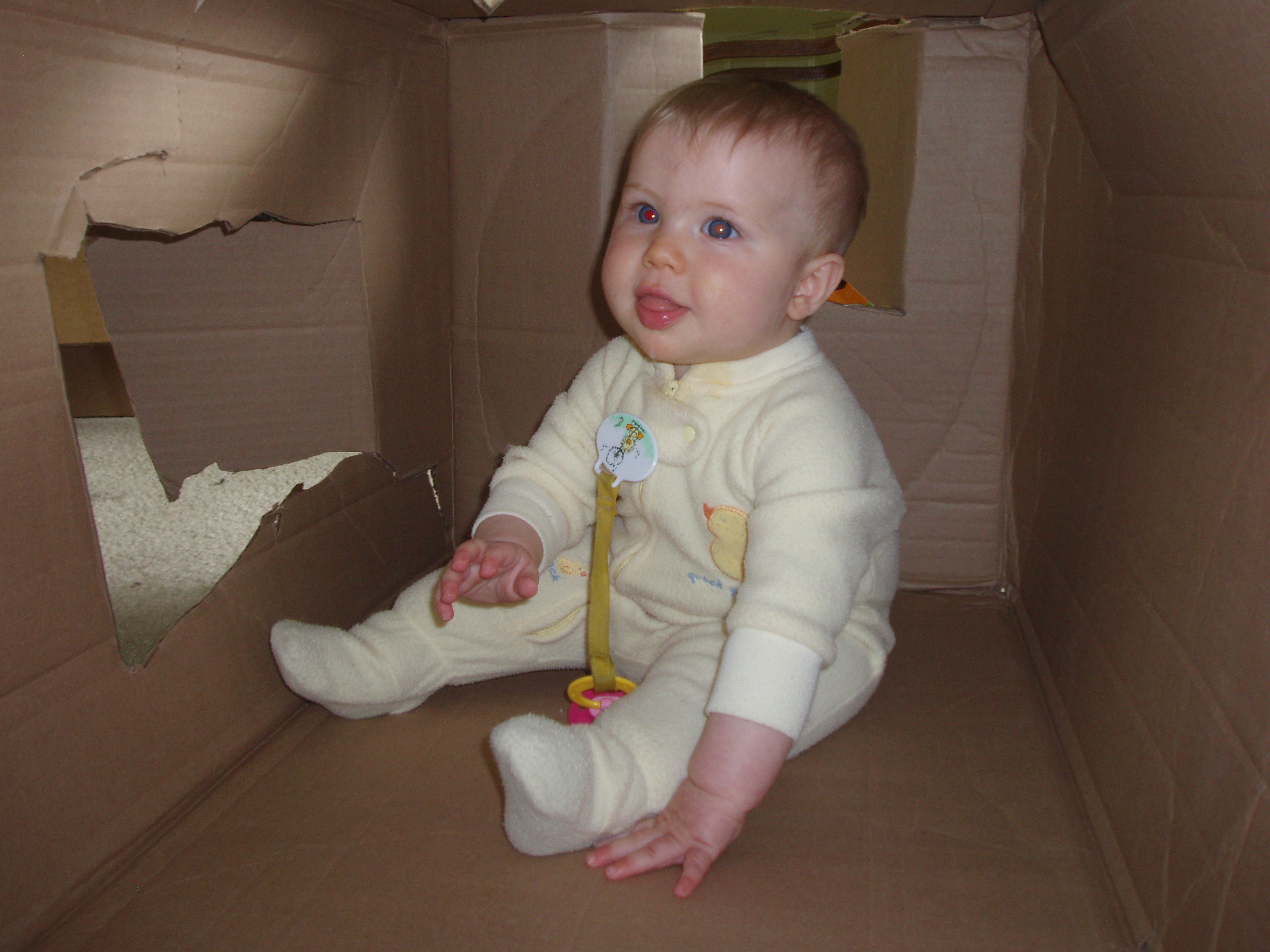 32008box.jpg