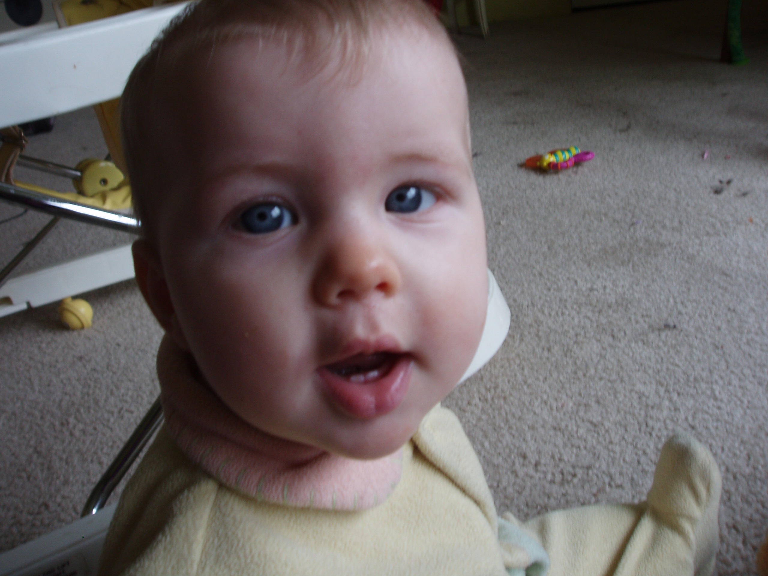 32008firstteeth.jpg