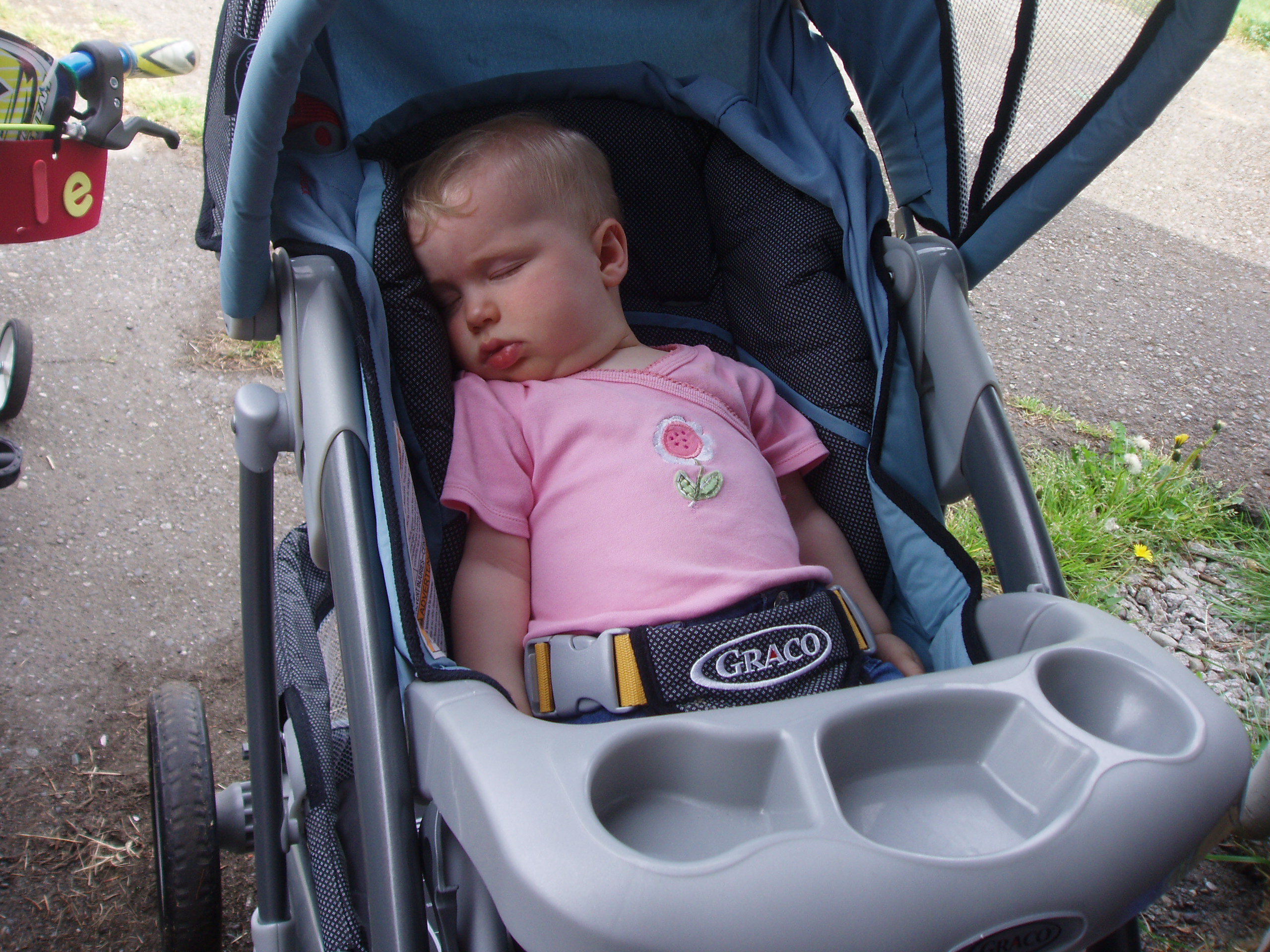 52008napping.jpg