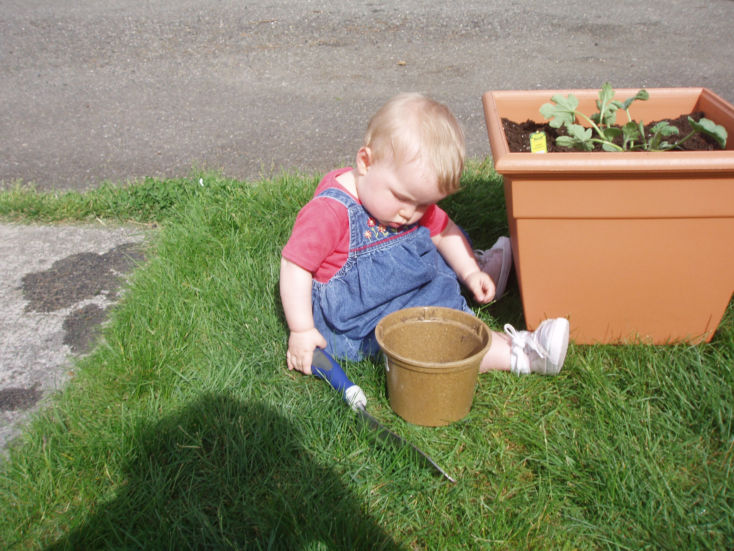 52008planting.jpg