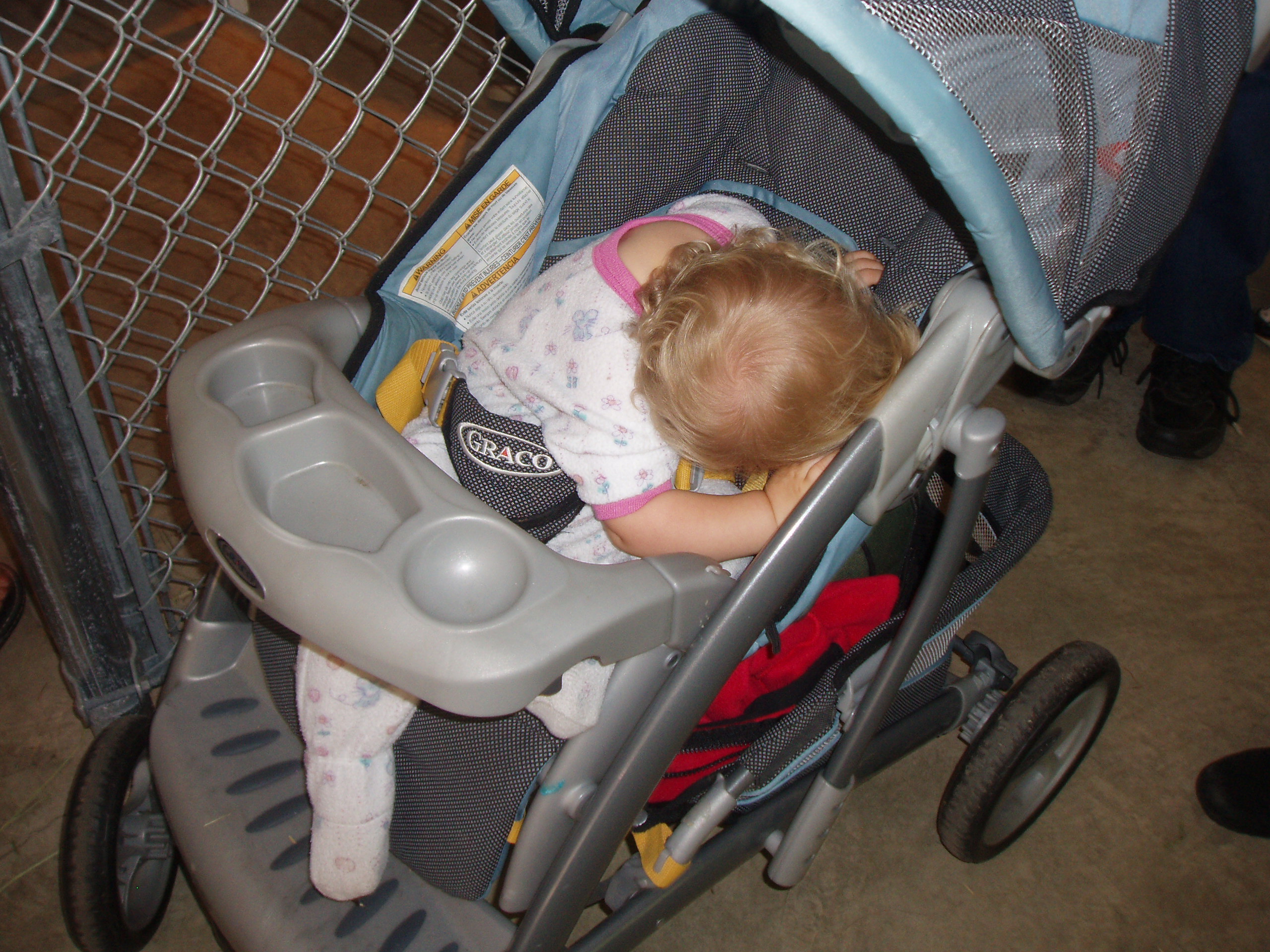 august2008tiredofthefair.jpg