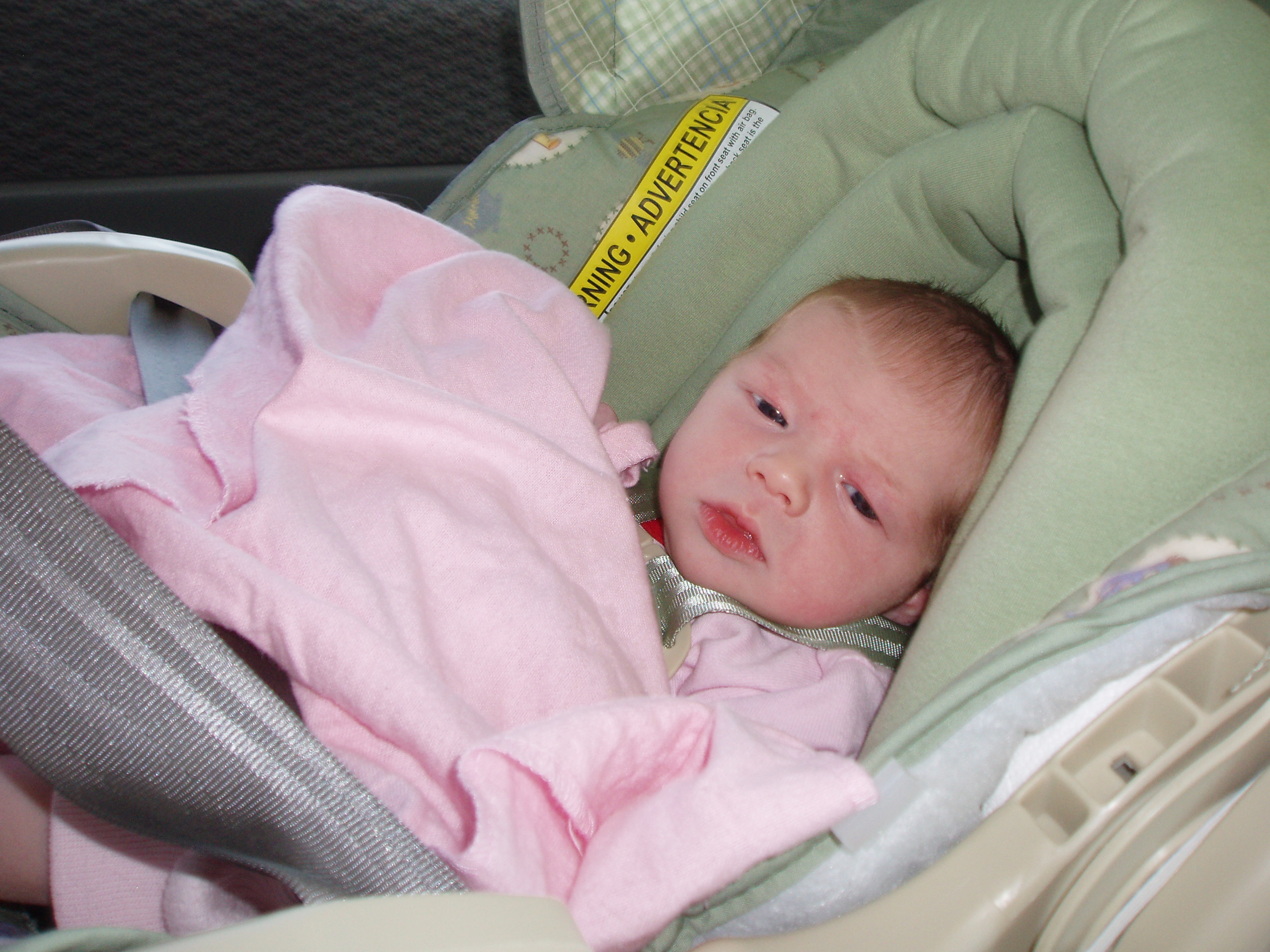 carride.jpg