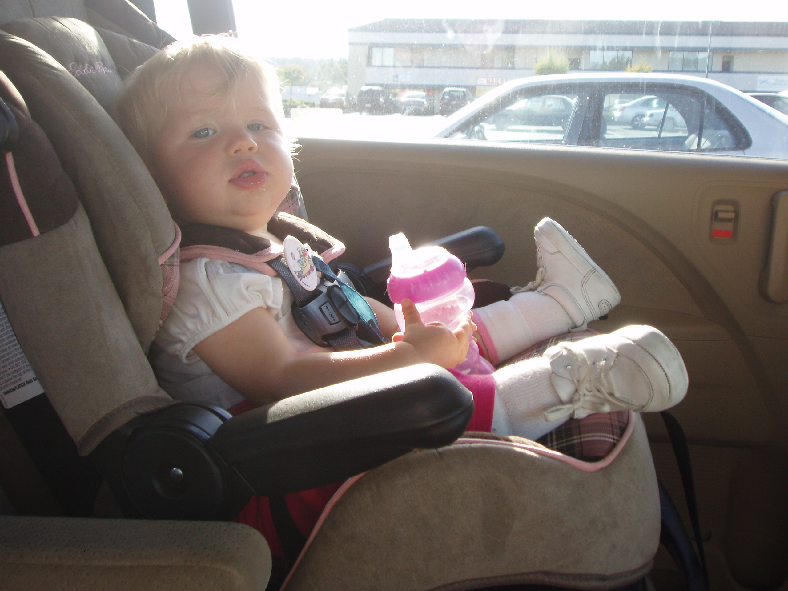 newcarseat.jpg