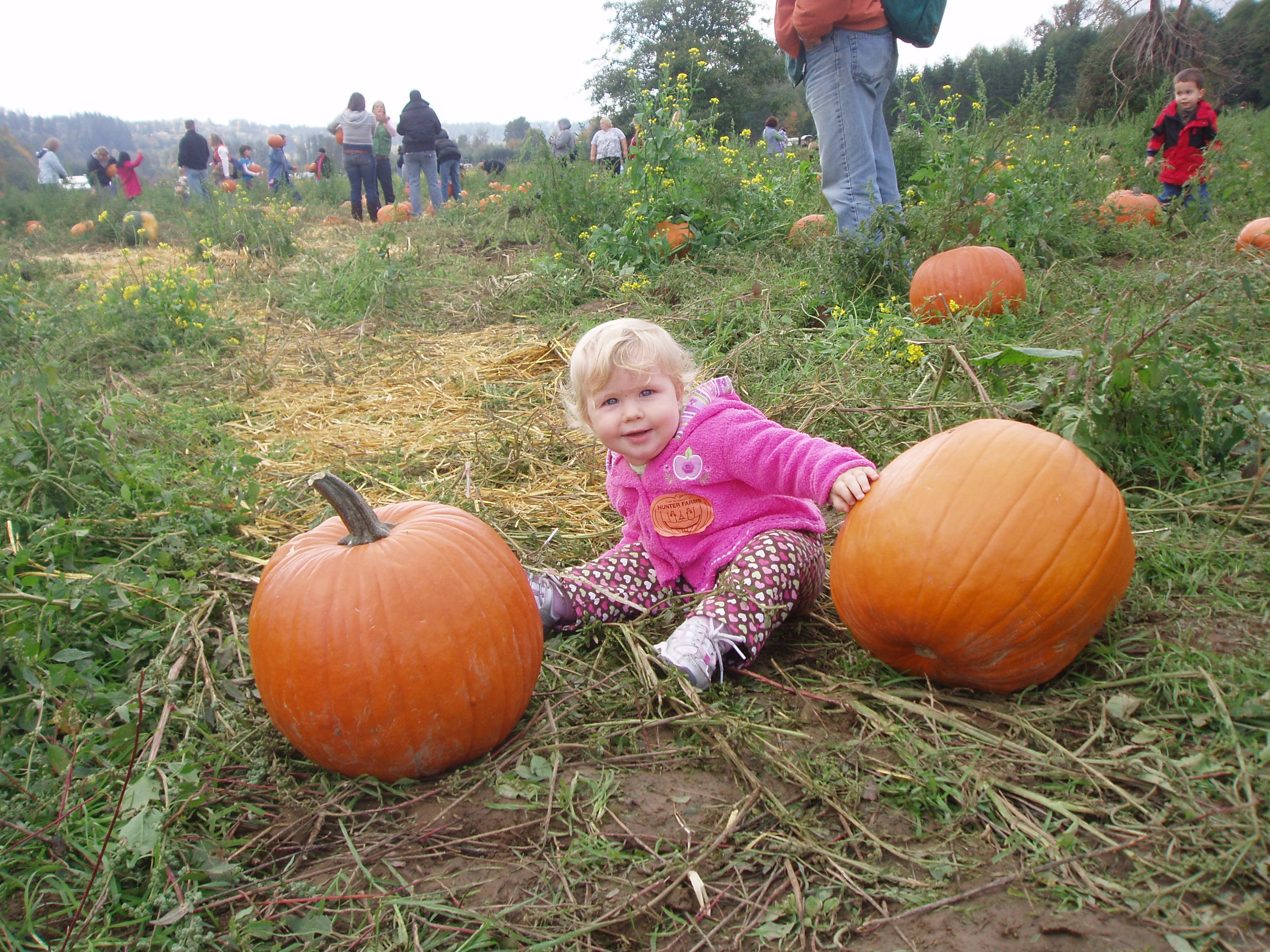 pumpkinpatch.jpg